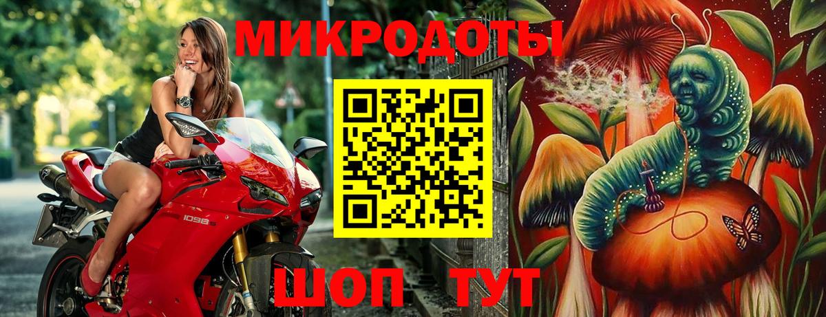 Псилоцибиновые грибы Psilocybe Джанкой